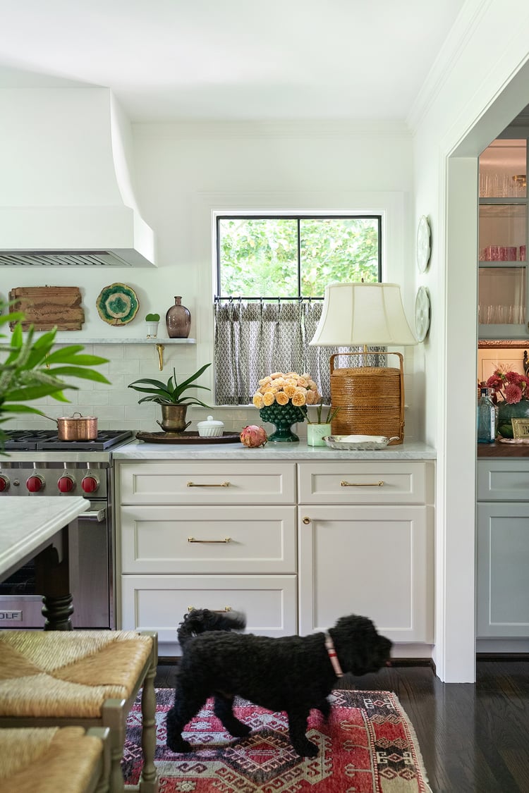 A curly, black puppy sits center stage in this newly renovated kitchen, featuring a plaster-finished vent hood, stainless steel range, and shaker-style cabinetry.